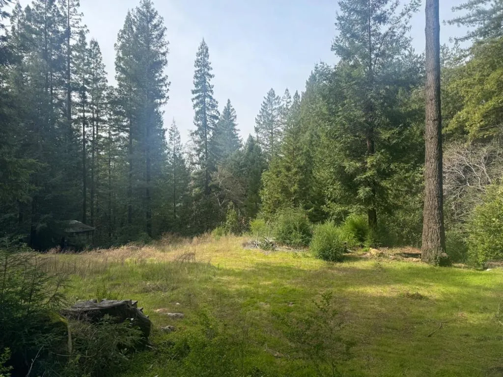 320 Timber Cove, Boulder Creek, California 95006 — photo 4