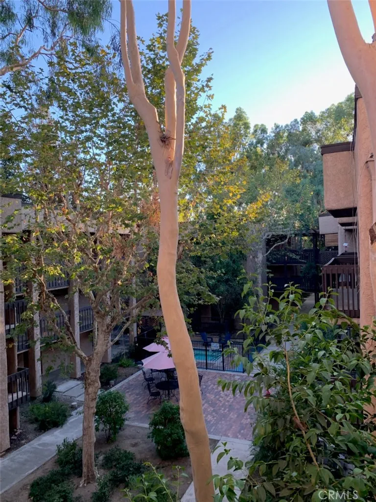 view from balcony