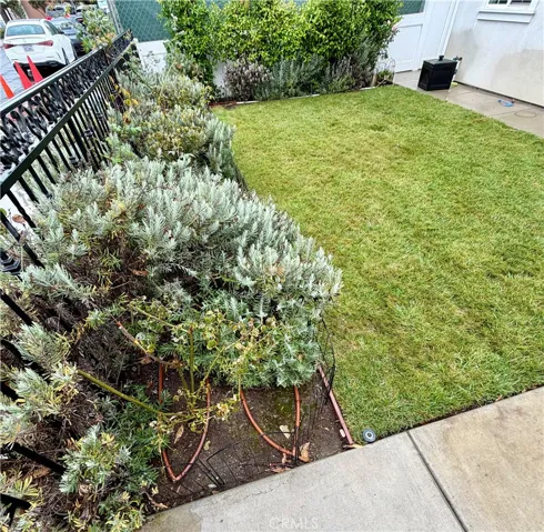 Front yard