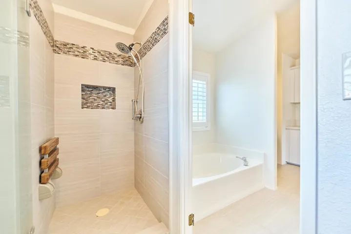 Primary Shower