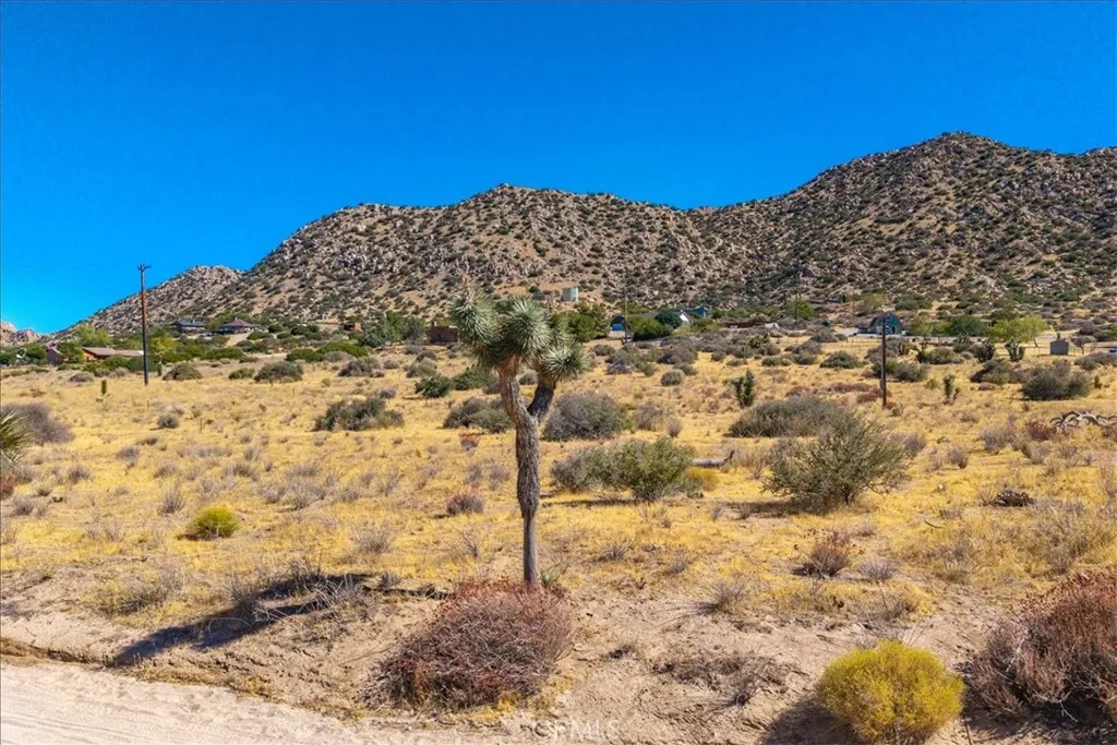 53175 Annie Oakley, Pioneertown, California 92268 — photo 5