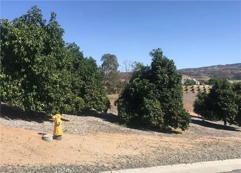 38538 Martin Ranch Road, Temecula, California 92592 — photo 4