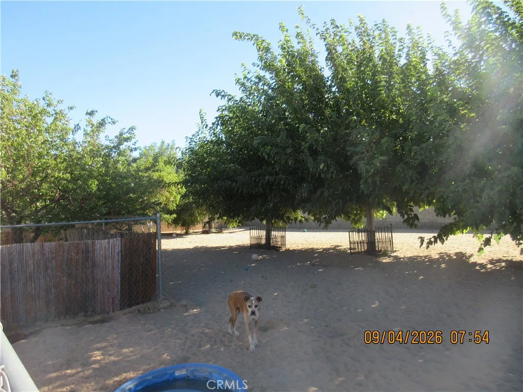 Treed back-back yard