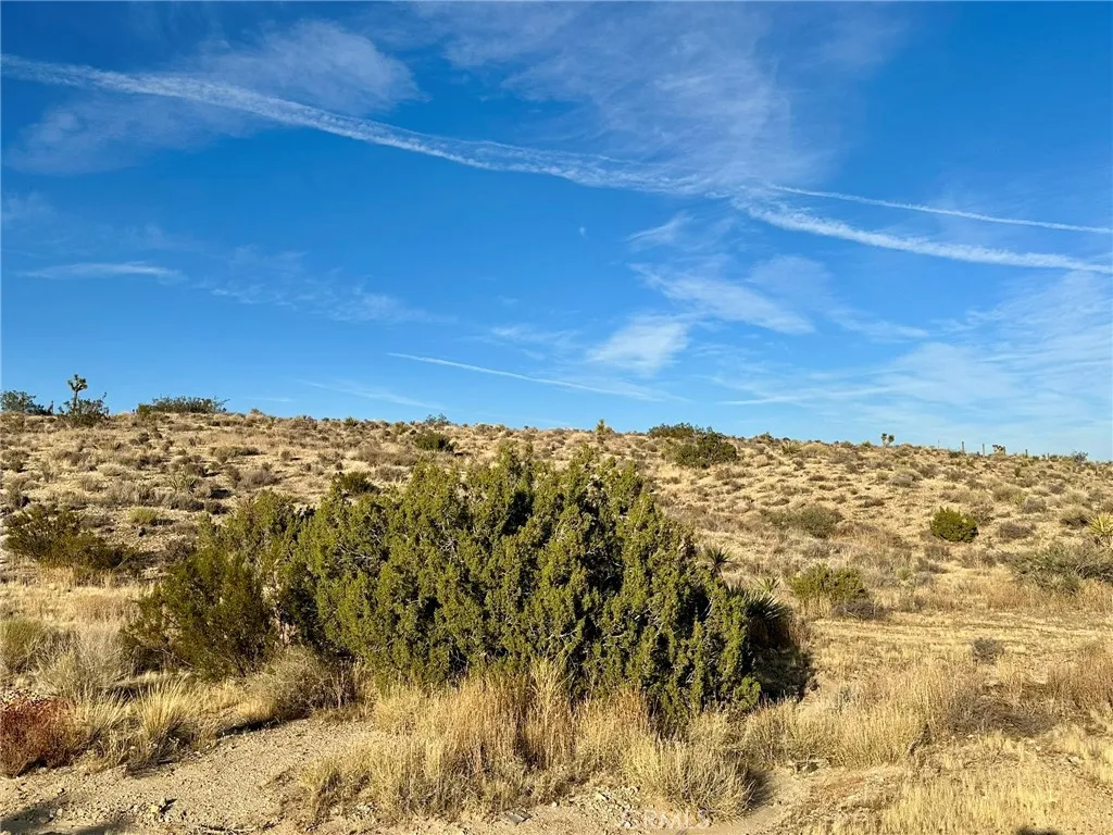 47 Melody Lane, Yucca Valley, California 92284 — photo 5