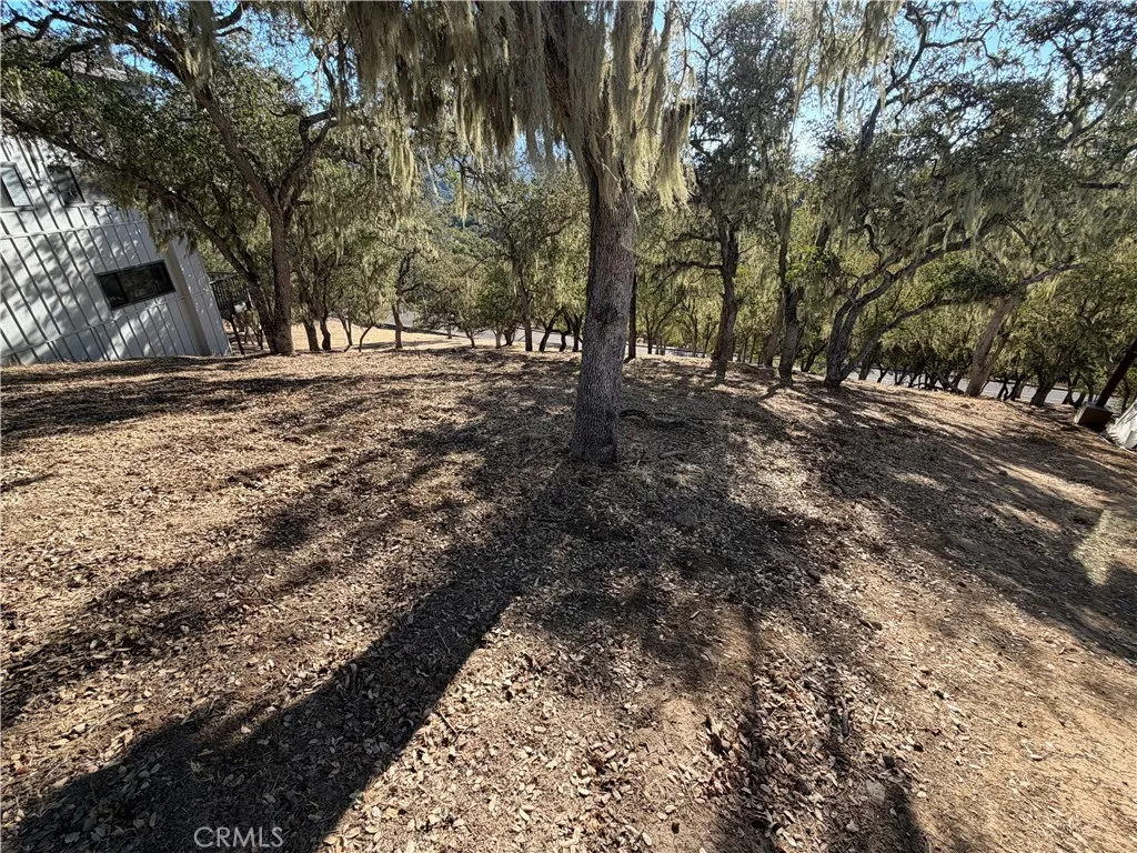 2171 Ridge Rider Road, Bradley, California 93426 — photo 5