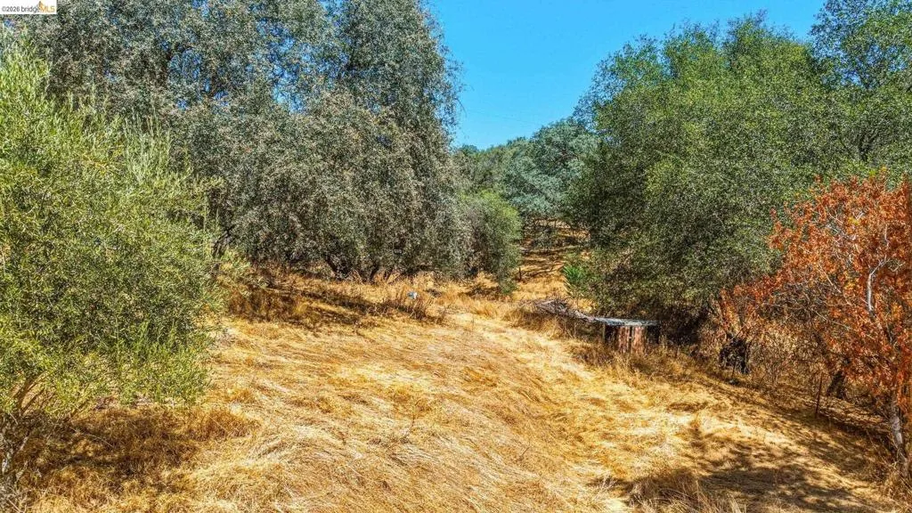 20510 Tuttletown Rd., Sonora, California 95370 — photo 4