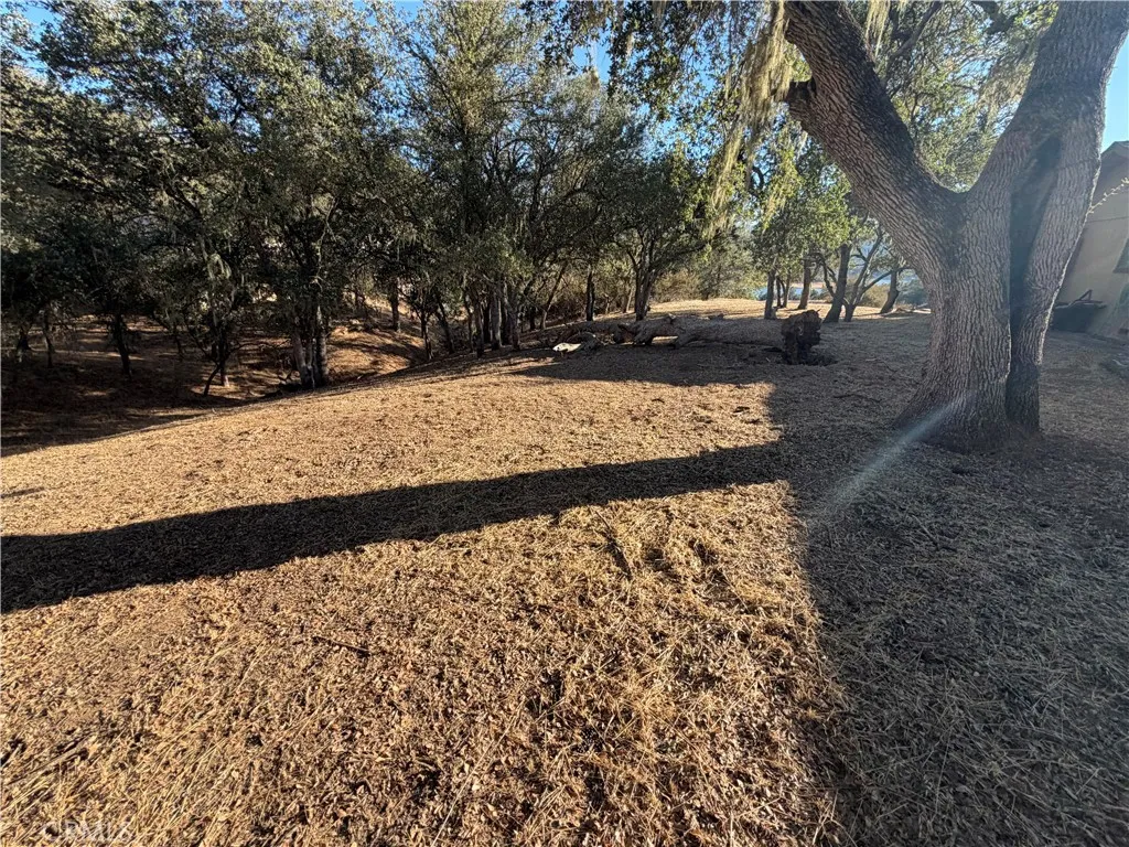 8100 Boat Hook, Bradley, California 93426 — photo 4