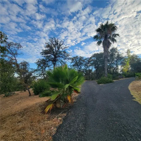 289 Skyline Boulevard, Oroville, California 95966 — photo 5