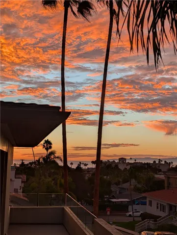 Peaceful sunset and palm tree silhouettes viewed from the rooftop retreat.