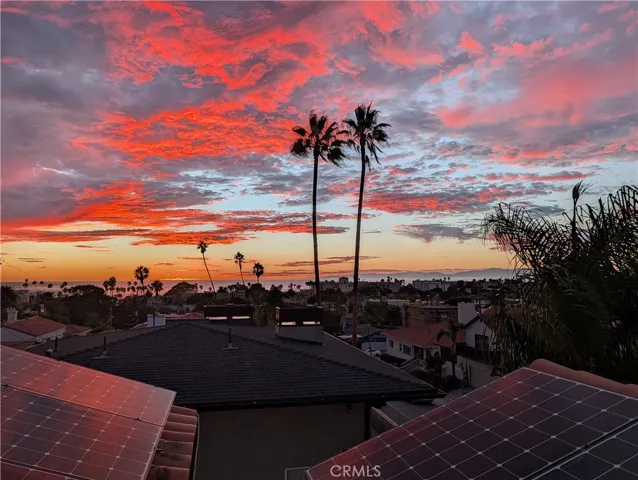 Vibrant sunset views from the rooftop deck, framed by iconic coastal palm trees.