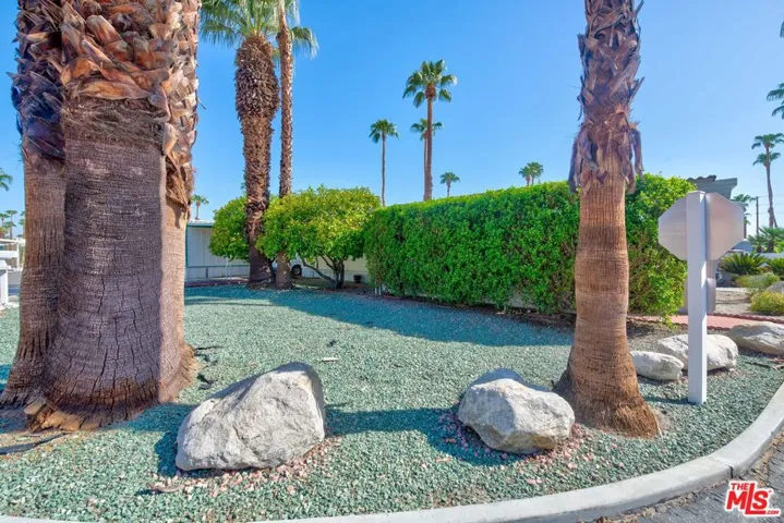 Front yard