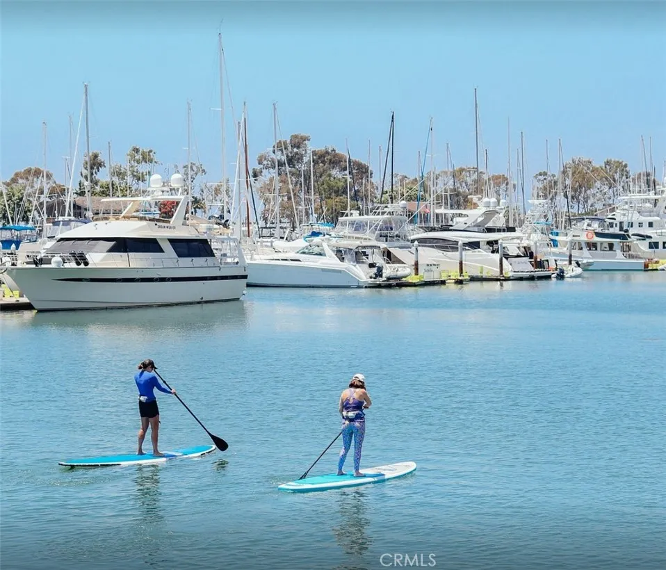 Stand-up Paddle Boarding in the Dana Point Marina