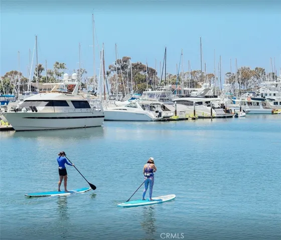 Stand-up Paddle Boarding in the Dana Point Marina