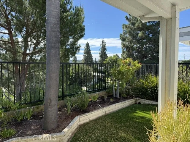 Expansive Views