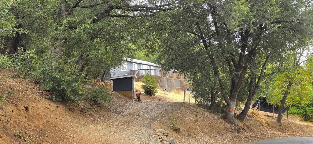 Driveway Driveway