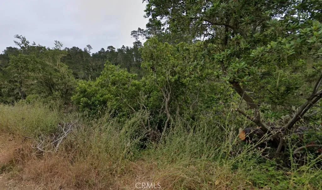 2812 Ramsey Road, Cambria, California 93428 — photo 5