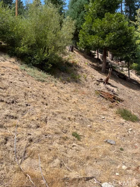 2349 Deep Creek, Running Springs, California 92382 — photo 5