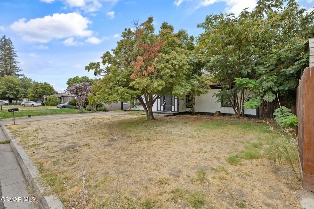 1-web-or-mls-713A7239 1-web-or-mls-713A7239