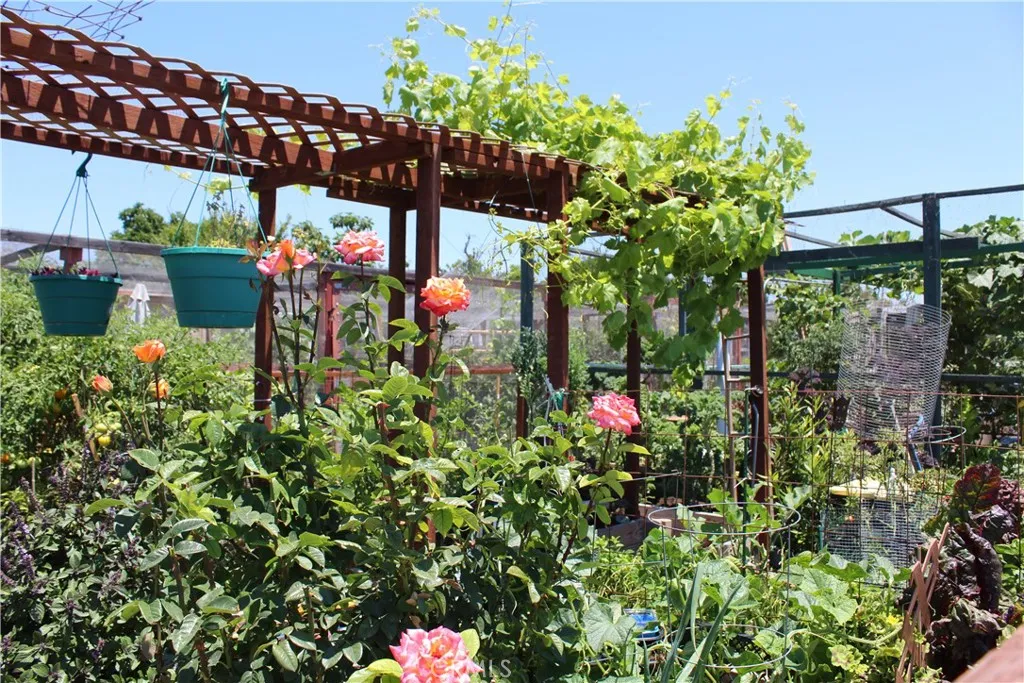 Rent a Garden Plot Rent a Garden Plot