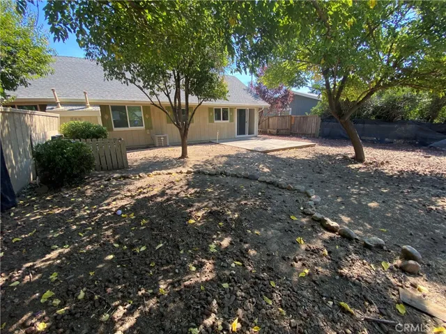 Back yard.