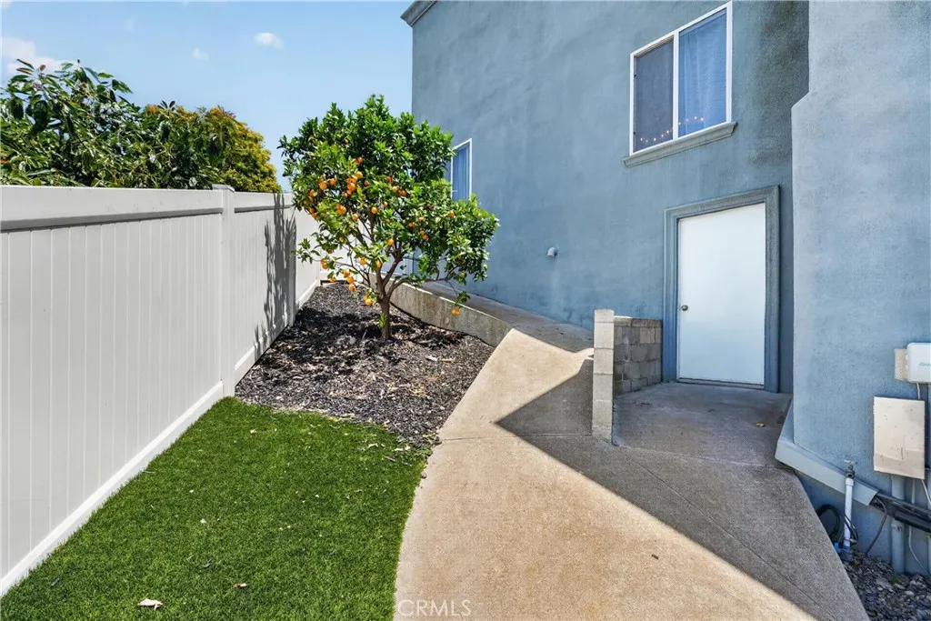 Orange tree and storage space
