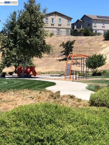 Nearby Parks
