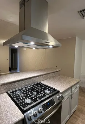 Kitchen stove and Stainless steel hood