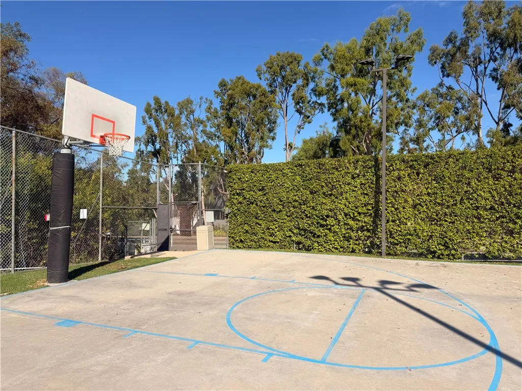 basketball court basketball court