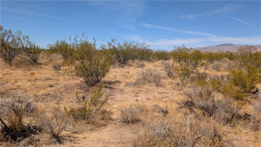 0 80th Street West, Rosamond, California 93501 — photo 4