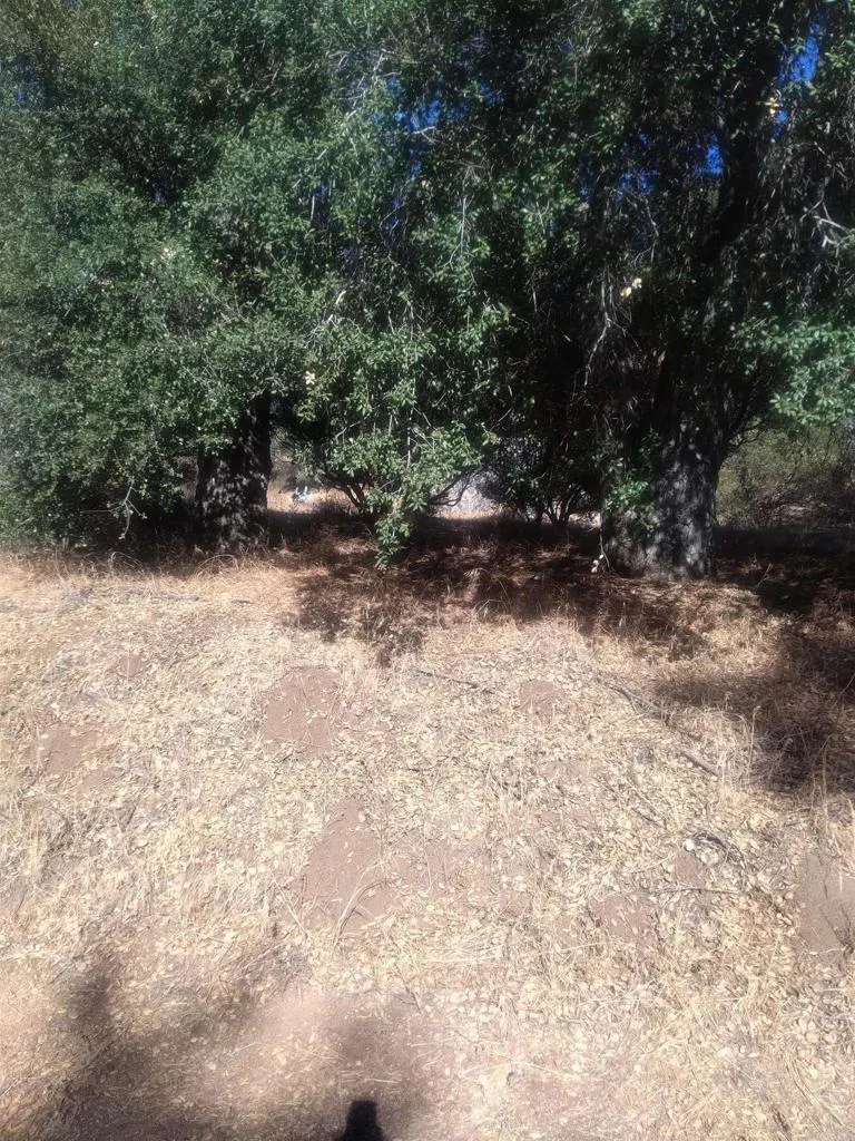 0 Valley View Trail