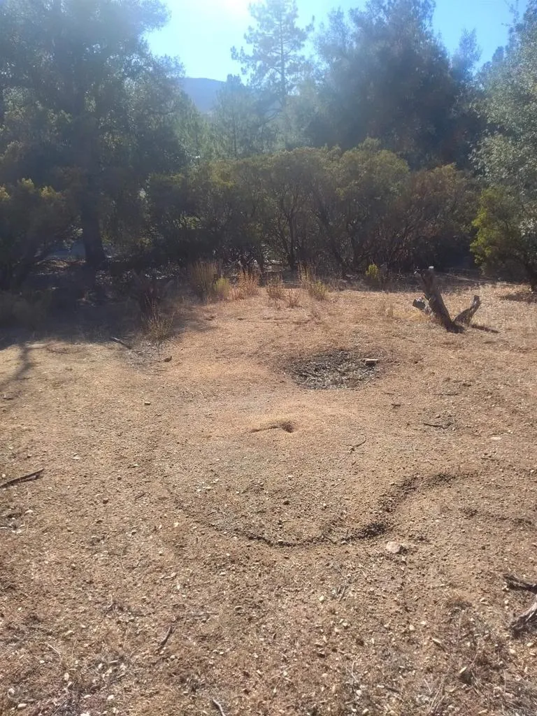 0 Valley View Trail, Pine Valley, California 91962 — photo 5