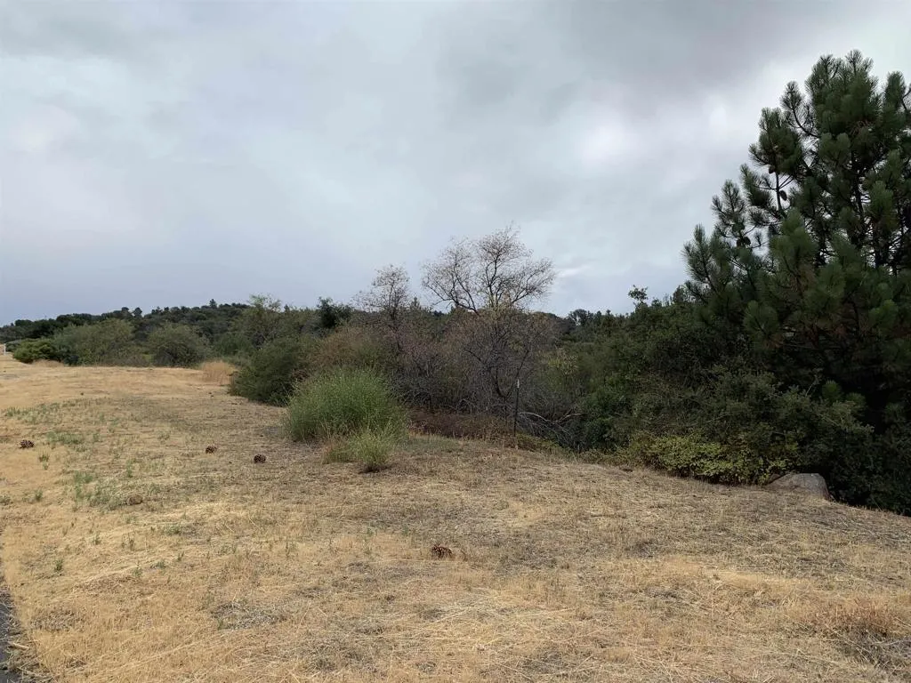 0 Incense Cedar Rd, Julian, California 92036 — photo 5