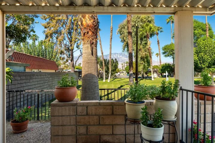 Patio view
