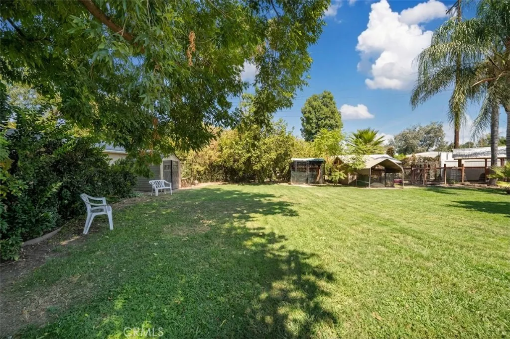 Park-like Grassy Lawn Park-like Grassy Lawn