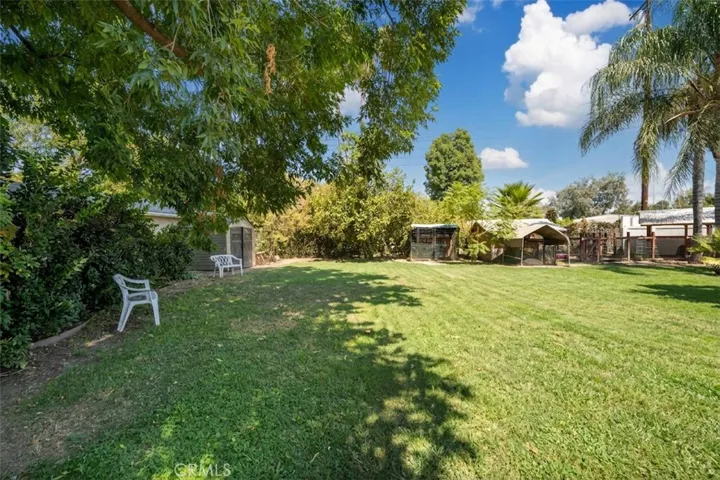 Park-like Grassy Lawn