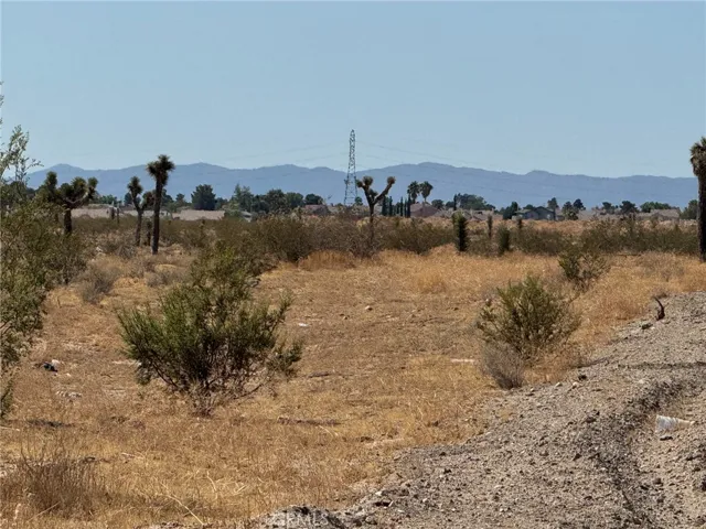 10501 Holly Road, Adelanto, California 92301 — photo 4