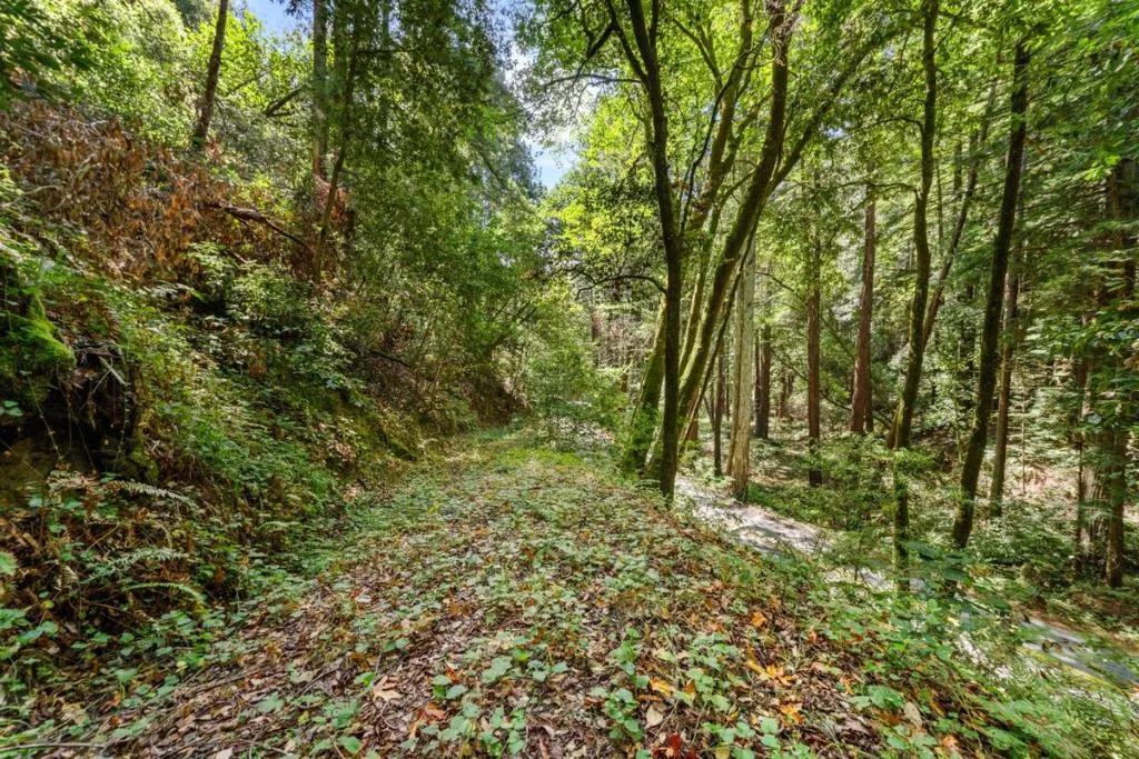 Granite Creek Rd visible from access path at lower end of property