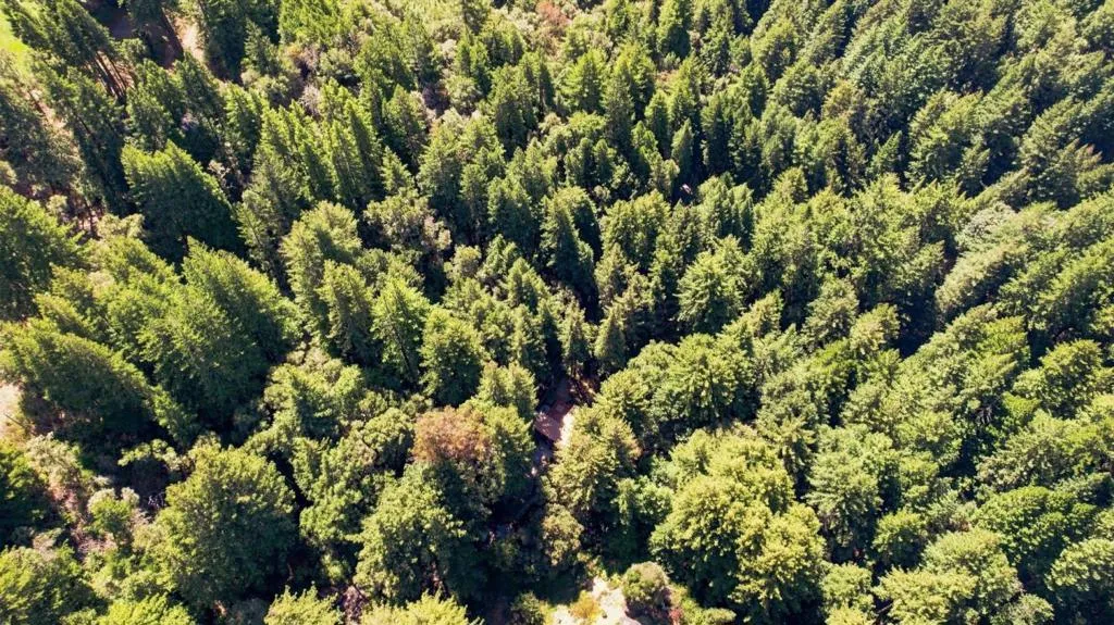 Overhead view of property (property line approximations to be added)
