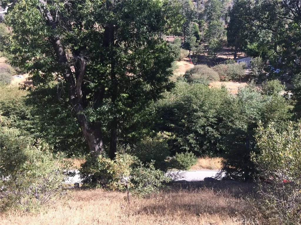29749 Redwood