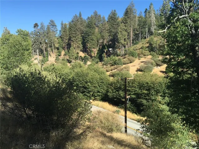 29751 Redwood, Cedar Glen, California 92321 — photo 4