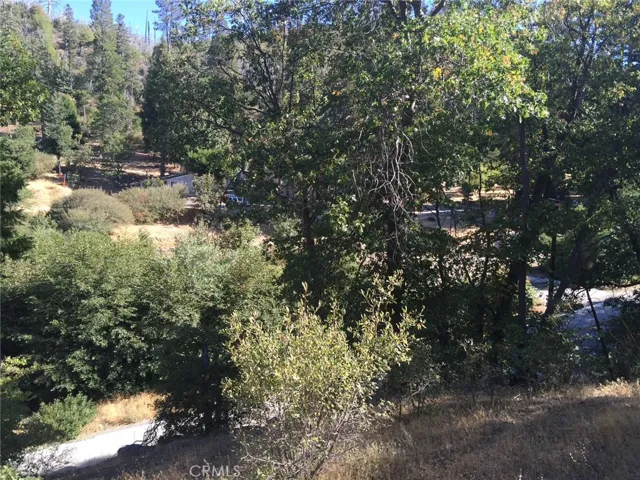 29776 Hook Creek, Cedar Glen, California 92321 — photo 5