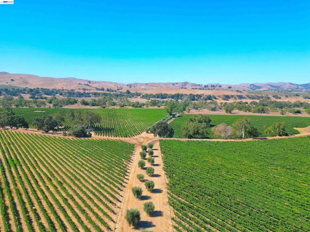 00 Arroyo Rd, Livermore, California 94550 — photo 5