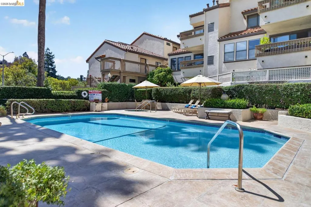 Rectangular swimming pool with integrated steps, surrounded by concrete decking and manicured hedges Rectangular swimming pool with integrated steps, surrounded by concrete decking and manicured hedges
