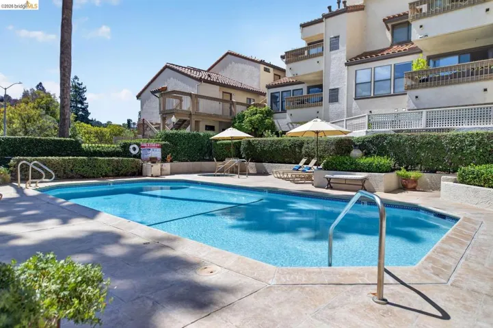 Rectangular swimming pool with integrated steps, surrounded by concrete decking and manicured hedges
