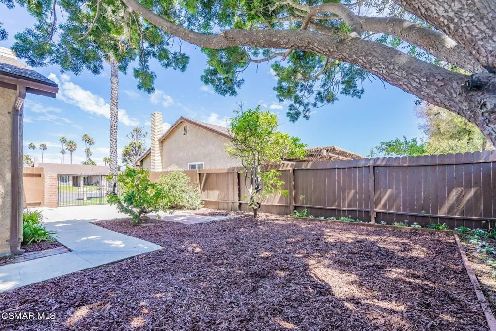 Backyard3