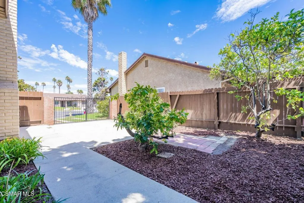 Backyard2