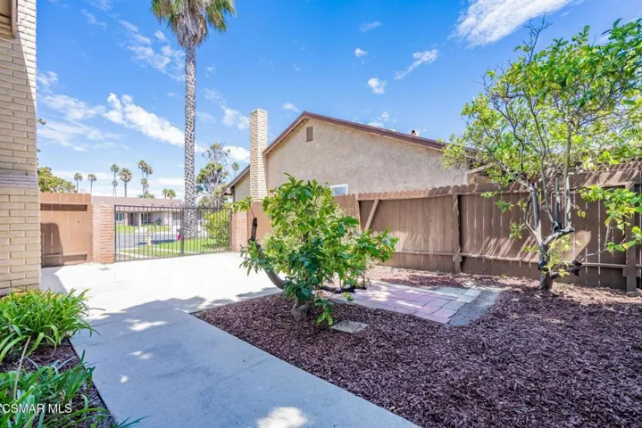 Backyard2