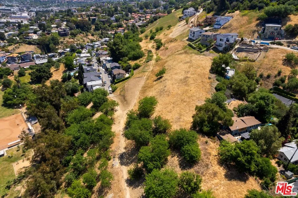 3586 N Mimosa Drive, Los Angeles, California 90065 — photo 5