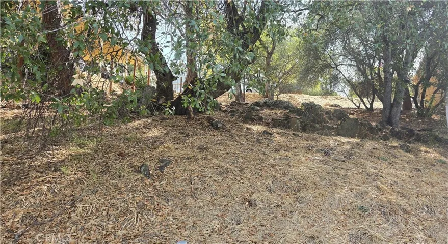 0 La Foret Drive, Oroville, California 95966 — photo 5