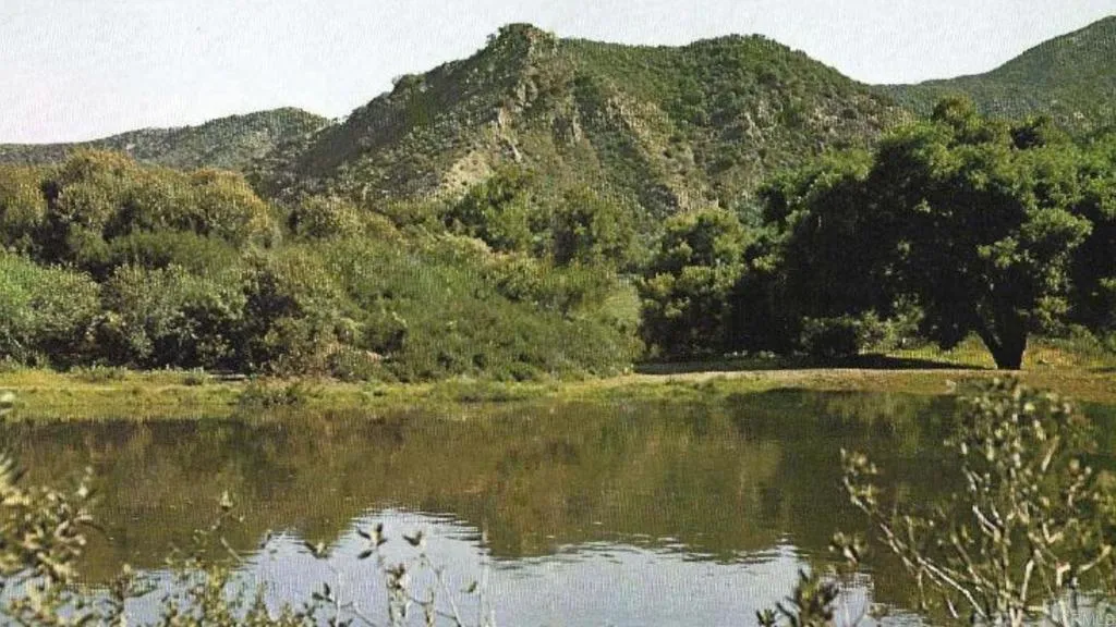 Abundant Water on Property Abundant Water on Property